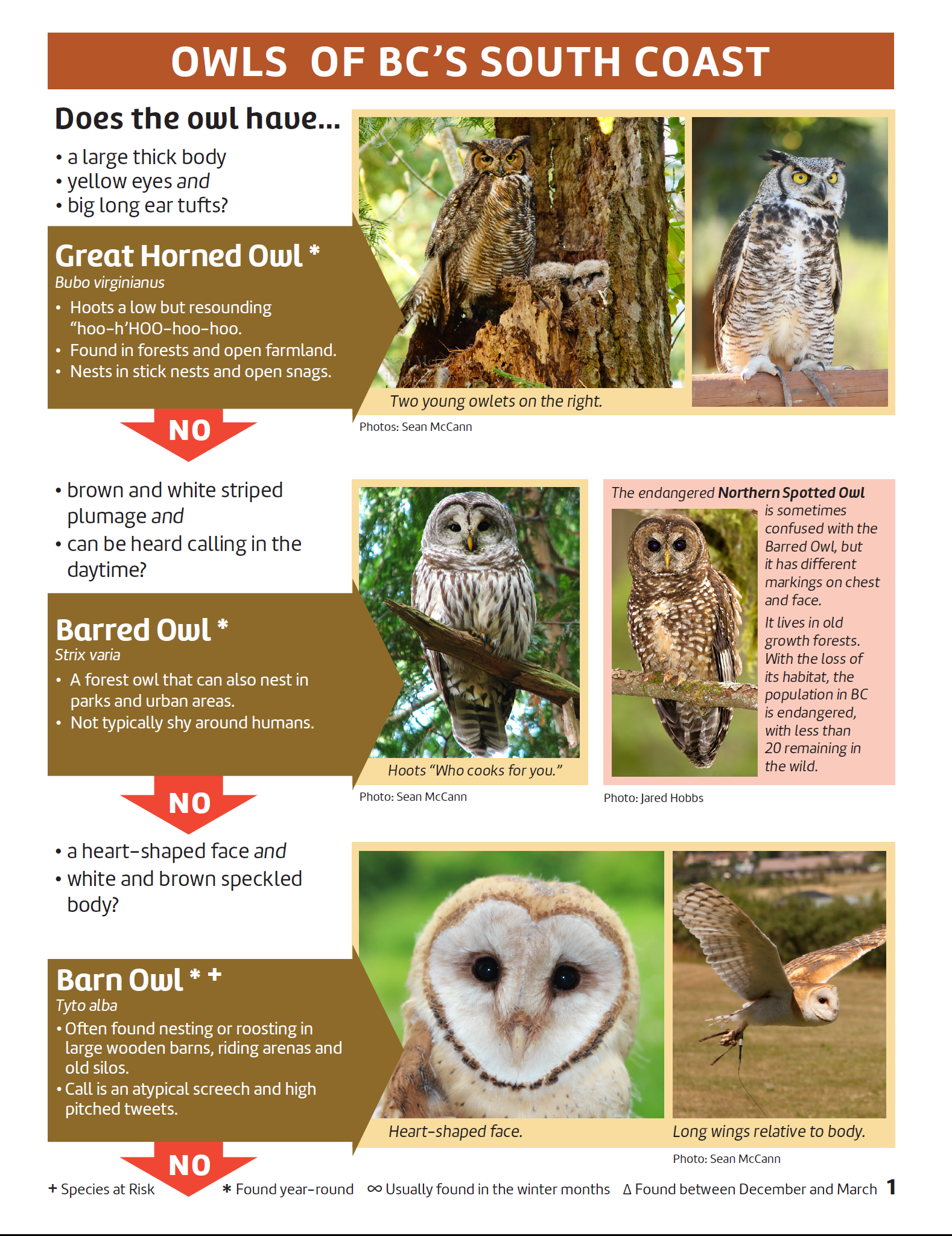 Owl ID page 1 Fraser Valley Conservancy Land Trust