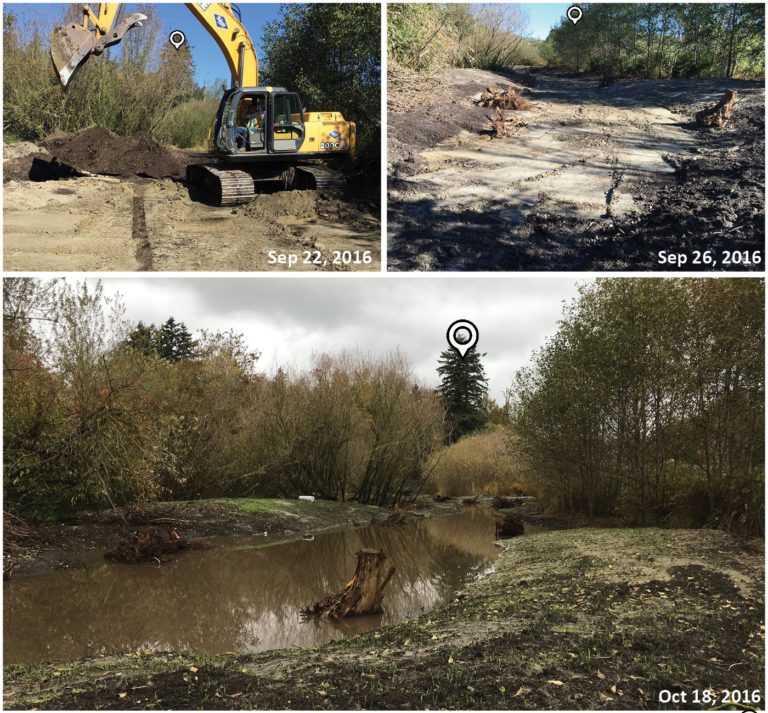 Habitat Enhancement Fraser Valley Conservancy Land Trust