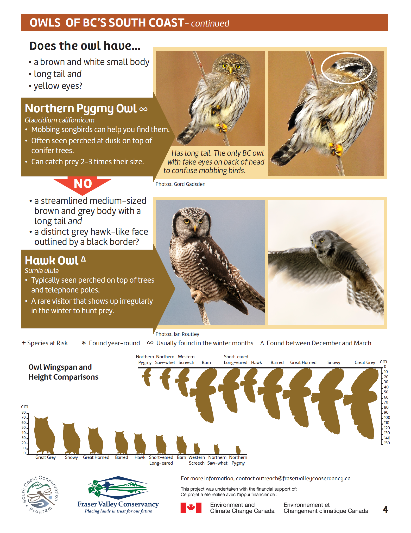 Did You Knowour Latest Id Sheet For Owls Is Out And Ready To Be Put 