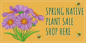 Spring Plant Sale Shop Button