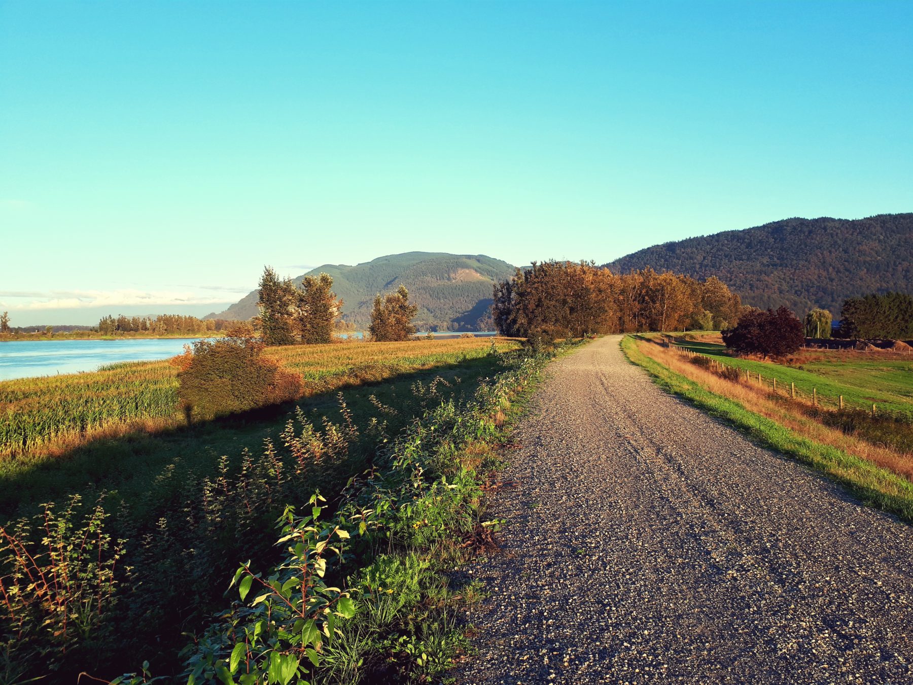About Us Fraser Valley Conservancy