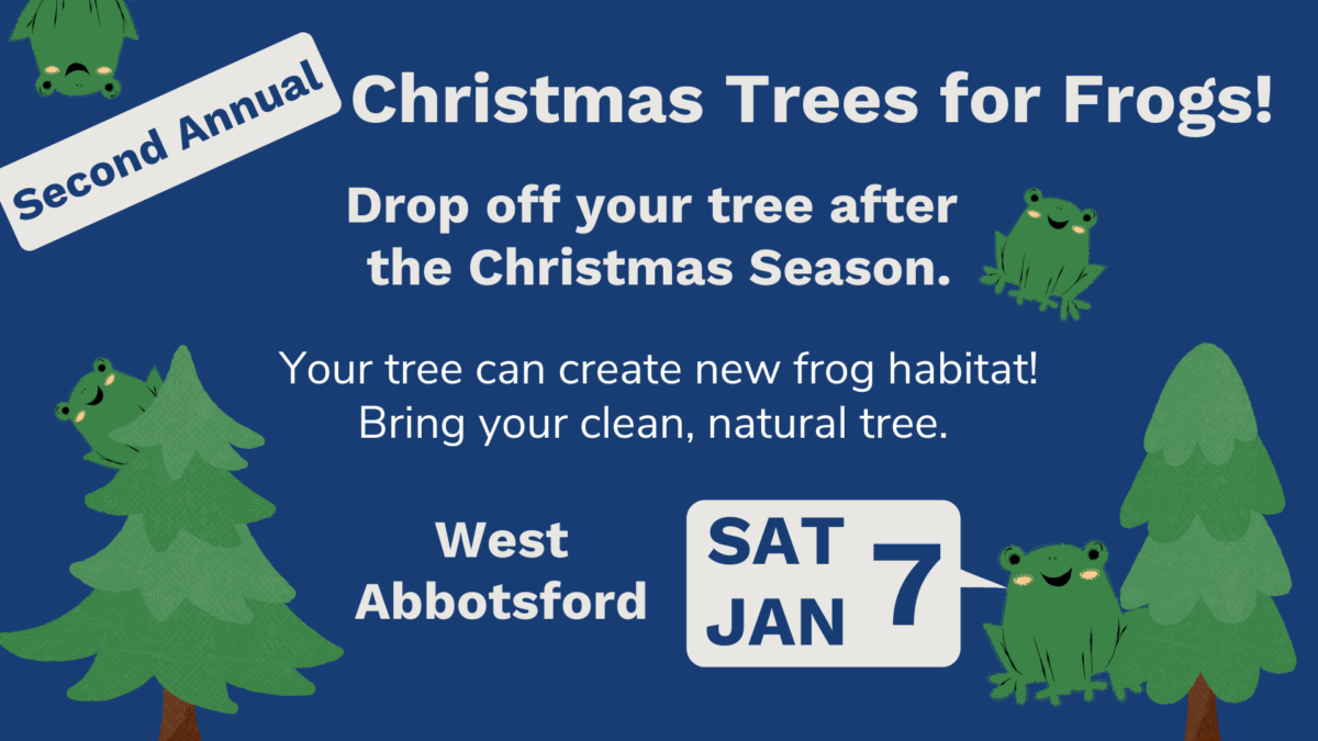 Christmas Trees for Frogs Tree Drop Off 2023 | Fraser Valley Conservancy