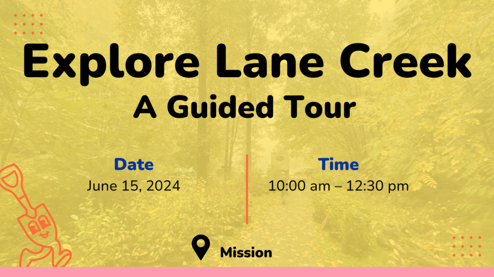 explore-lane-creek-a-guided-tour-fraser-valley-conservancy